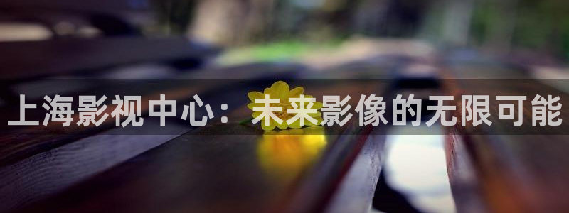 窝窝网电影电视剧：上海影视中心：未来影像的无限可能