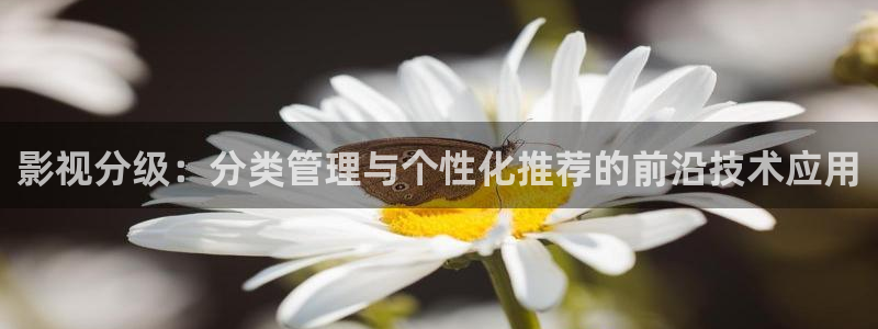 窝窝视频网免费观看网站：影视分级：分类管理与个性化推荐的前沿技术应用