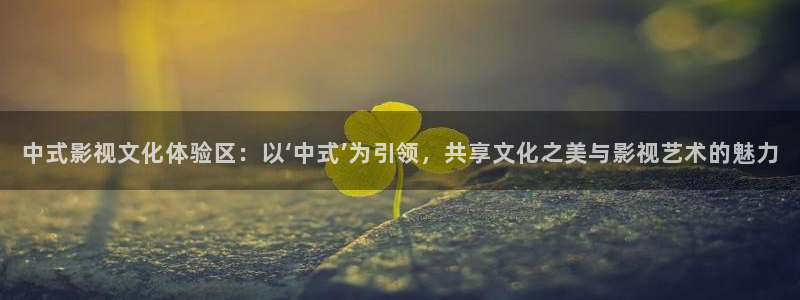 窝窝影院电视剧免费观看入口：中式影视文化体验区：以‘中式’为引领，共享文化之美与影视艺术的魅力