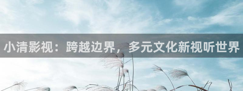 久久窝窝影院